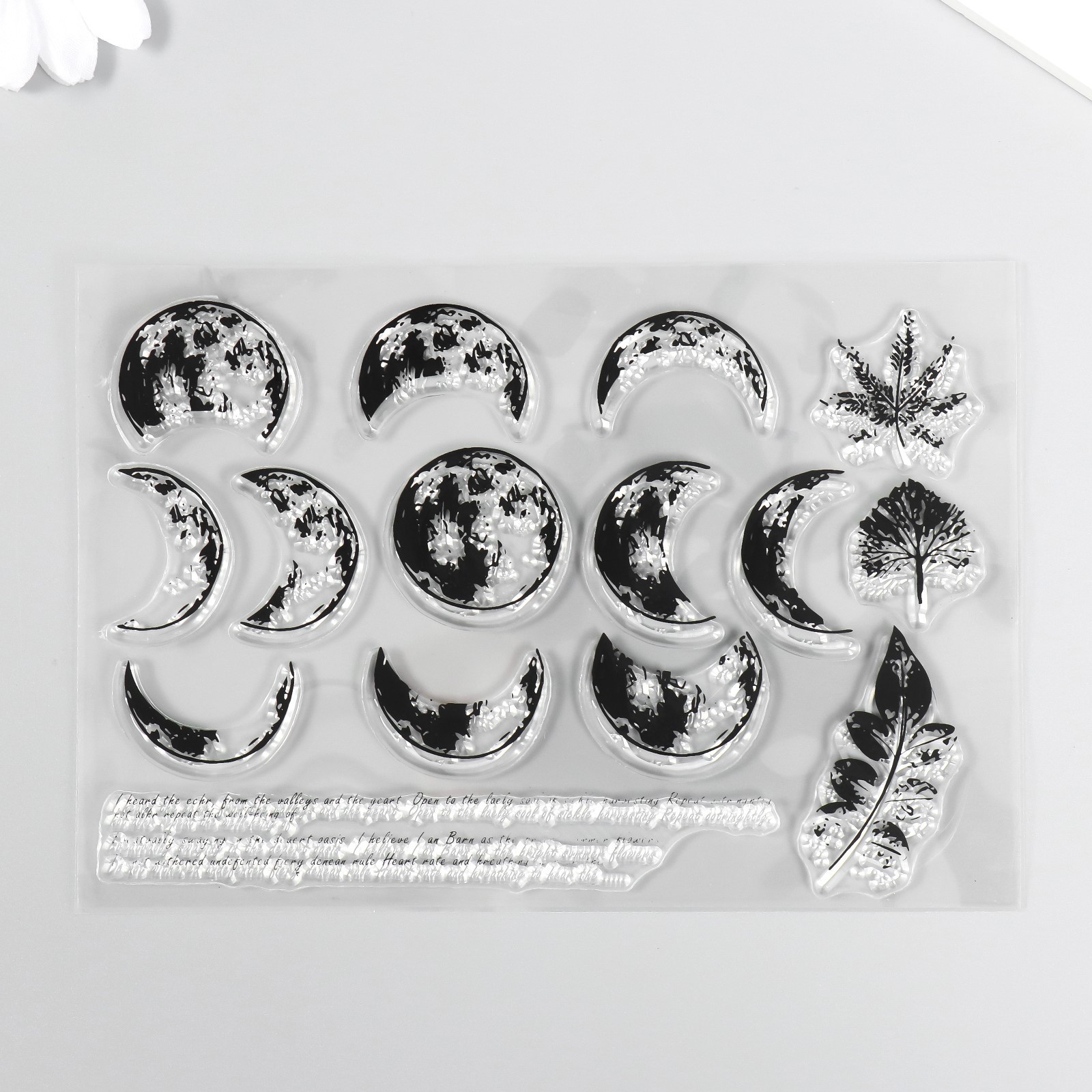 Набор штампов "Фазы луны"