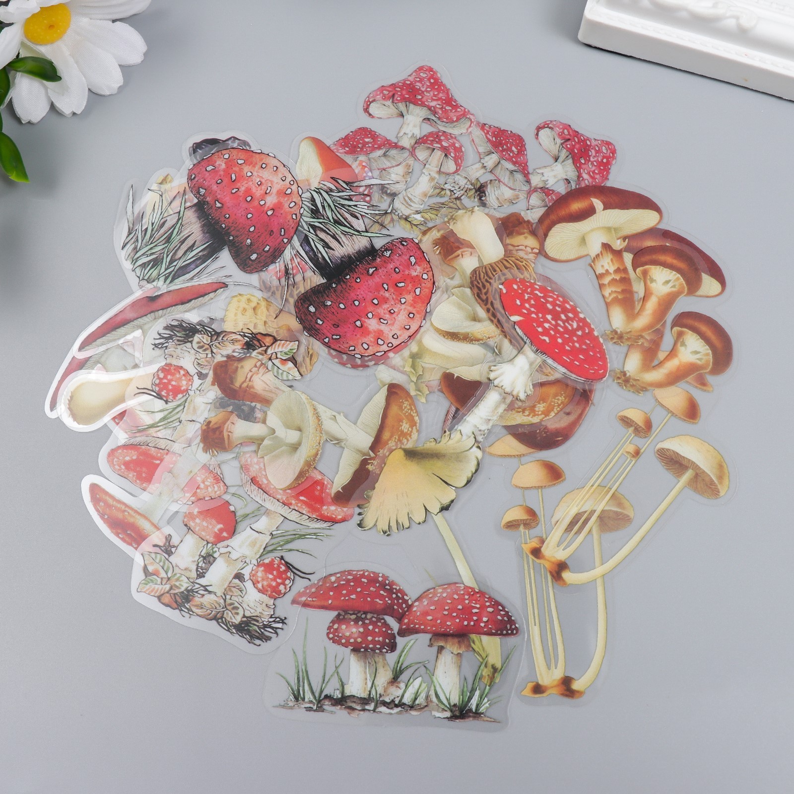 Ацетатные наклейки "Грибы"