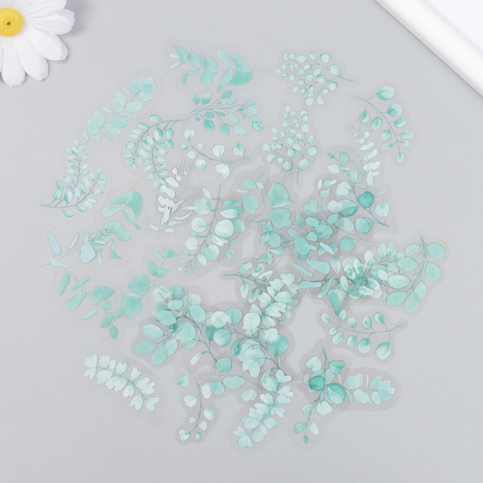 Ацетатные наклейки "Эвкалипт"