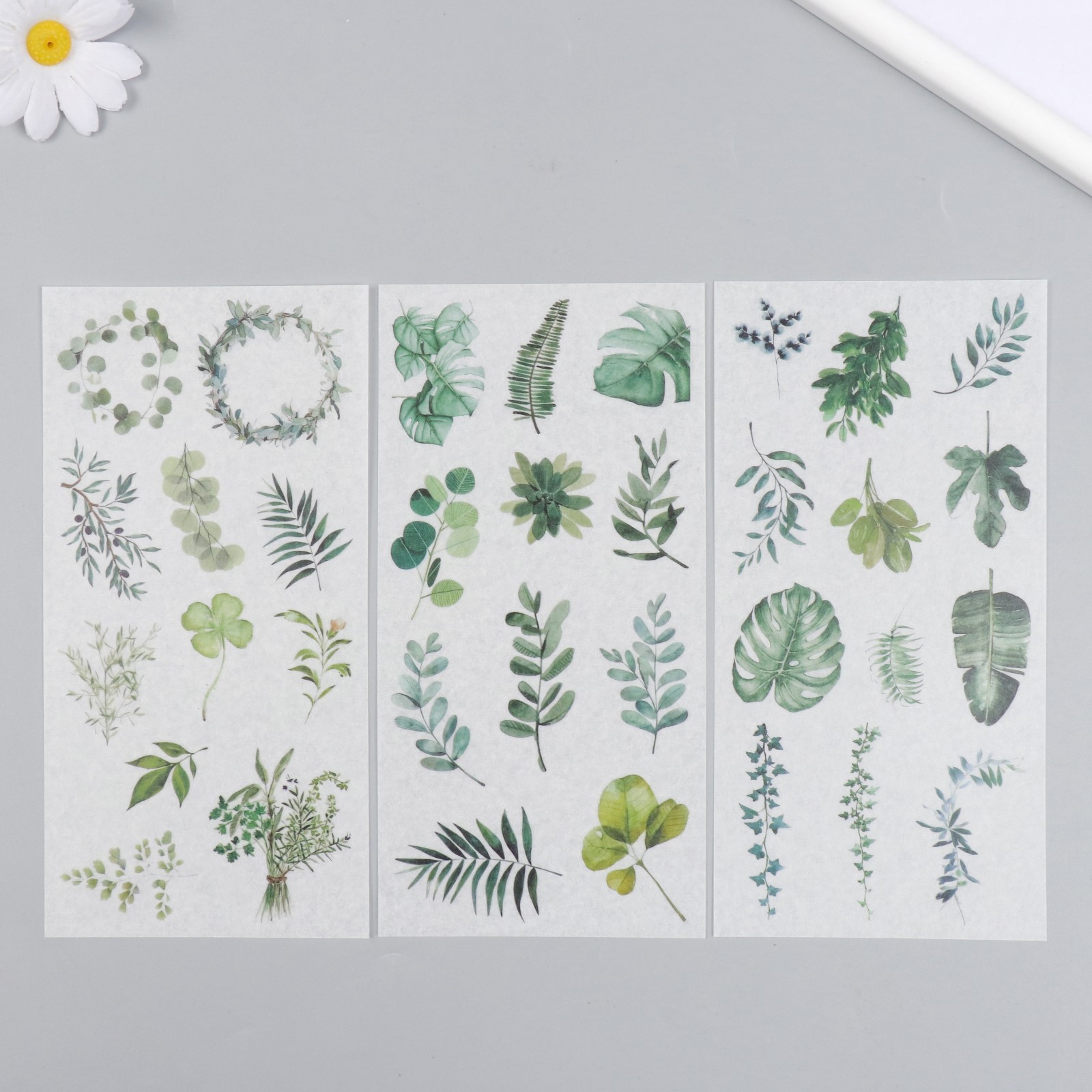 Набор наклеек на кальке "Листья"
