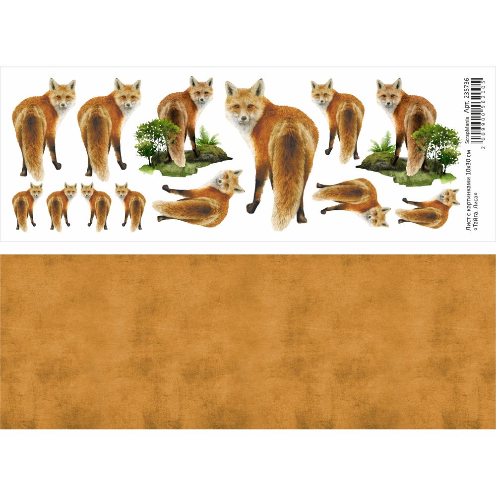 Бумага 10х30 см ScrapMania "Тайга" Лиса (SMA231-3)