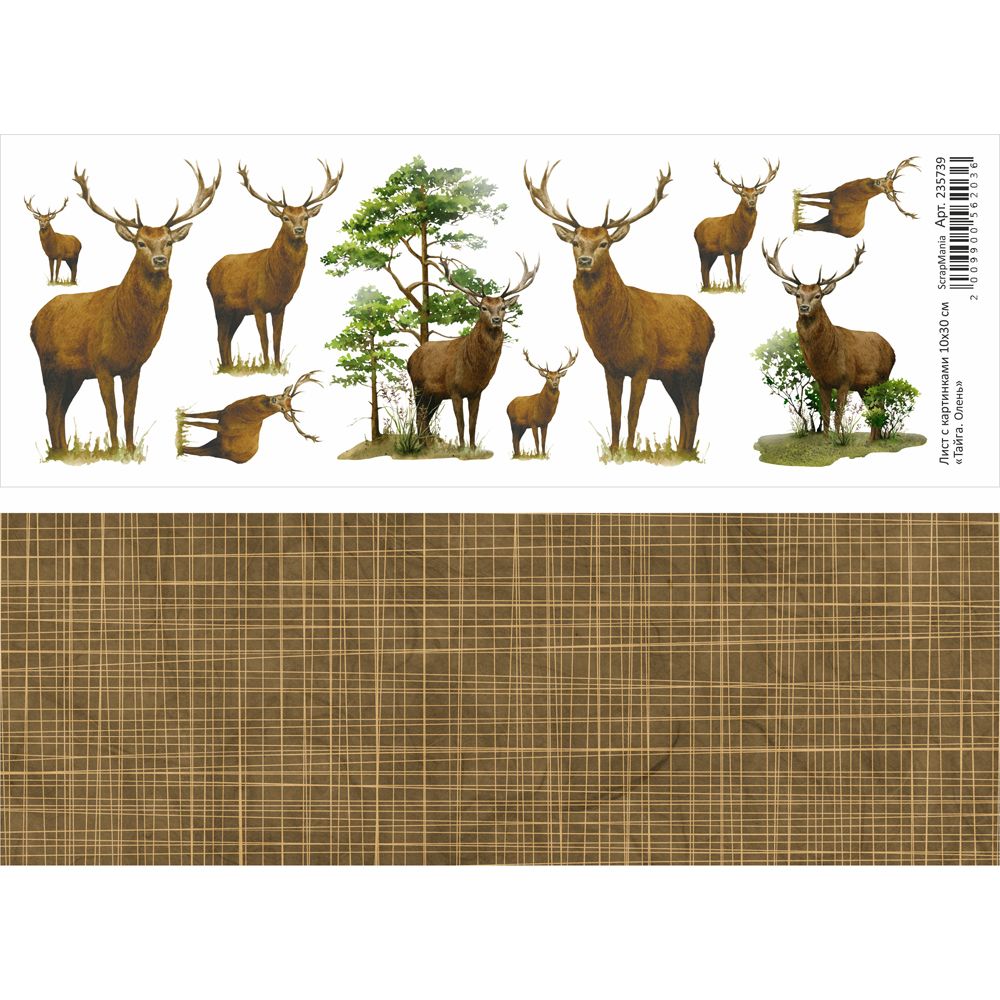 Бумага 10х30 см ScrapMania "Тайга" Олень (SMA231-5)