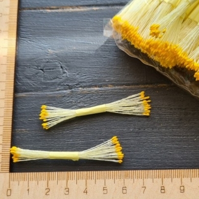 Тычинки круглые жёлтые