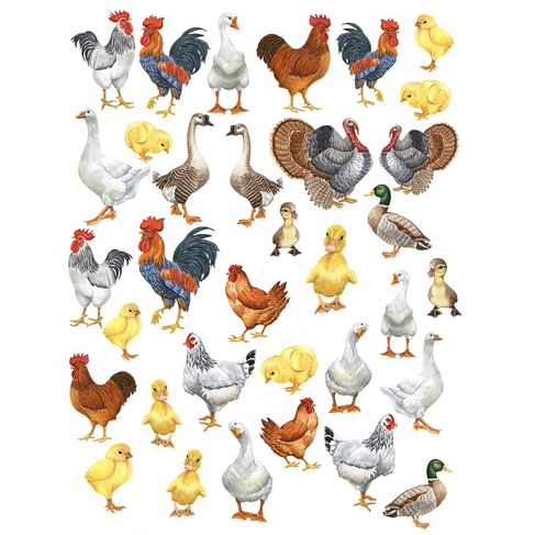 Набор тканевых высечек Mary Made "Птичий двор"