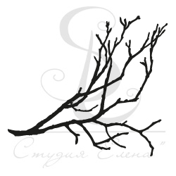 Штамп ПСК "Ветка малая"