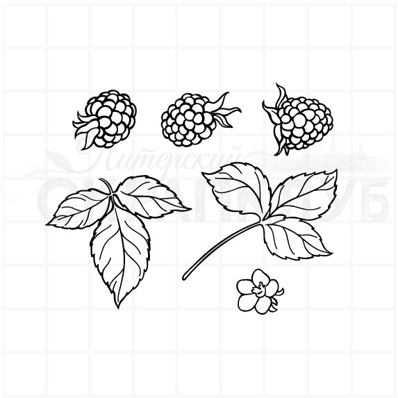 Штамп ПСК "Ежевика, листья и ягоды"