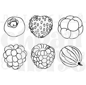 Штамп ПСК "Ягоды"