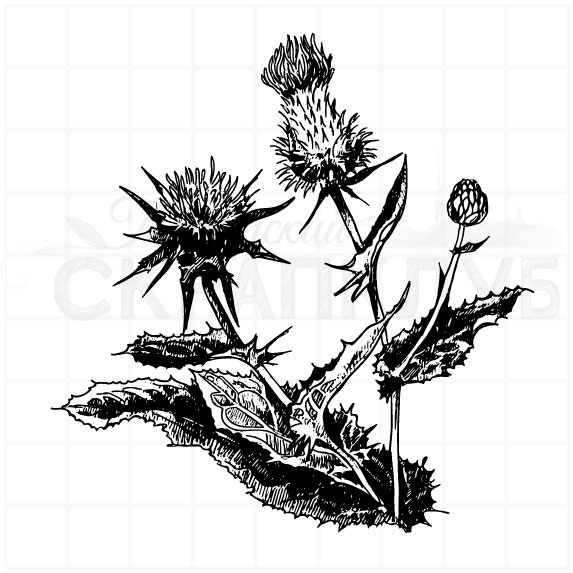 Штамп ПСК "Расторопша (чертополох)"