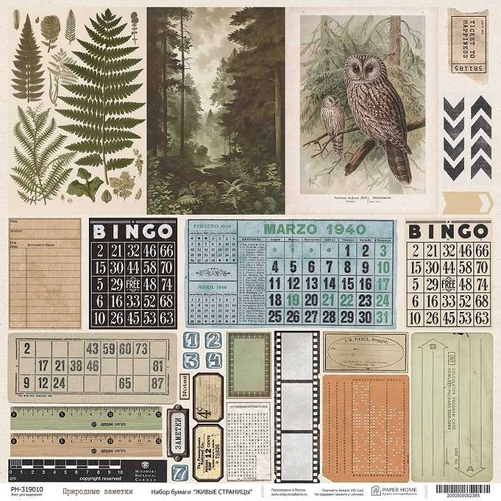 Бумага Paper Home "Живые страницы" Природные заметки (PH20-10)