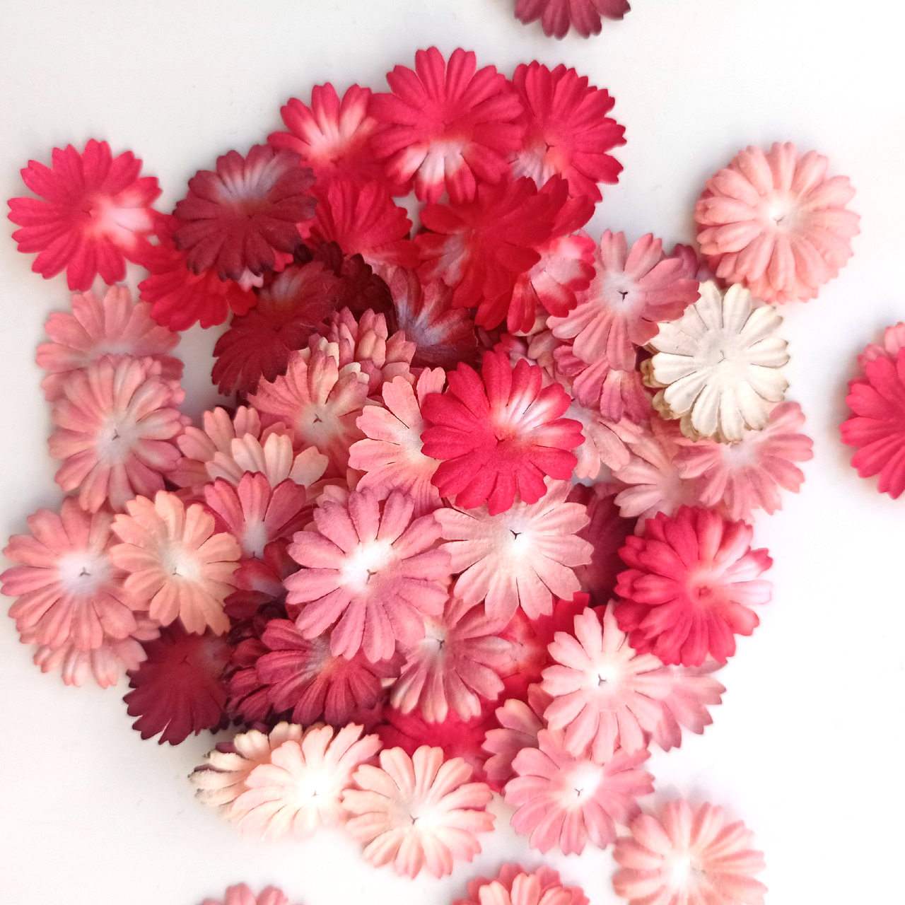 Набор маргариток 2,5 см (15шт) Красный микс