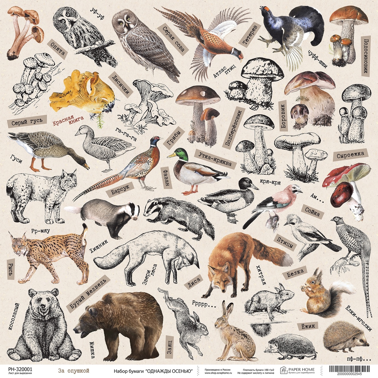 Бумага Paper Home "Однажды осенью" За опушкой (PH21-01)