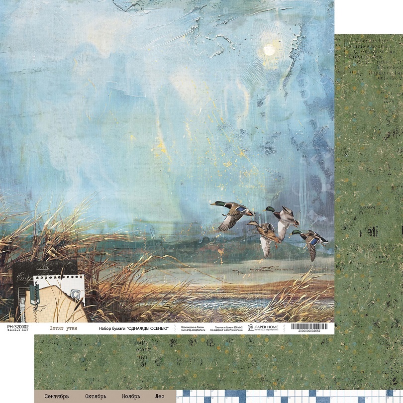 Бумага Paper Home "Однажды осенью" Летят утки (PH21-02)