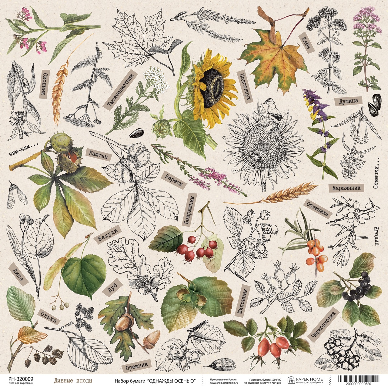 Бумага Paper Home "Однажды осенью" Дивные плоды (PH21-09)