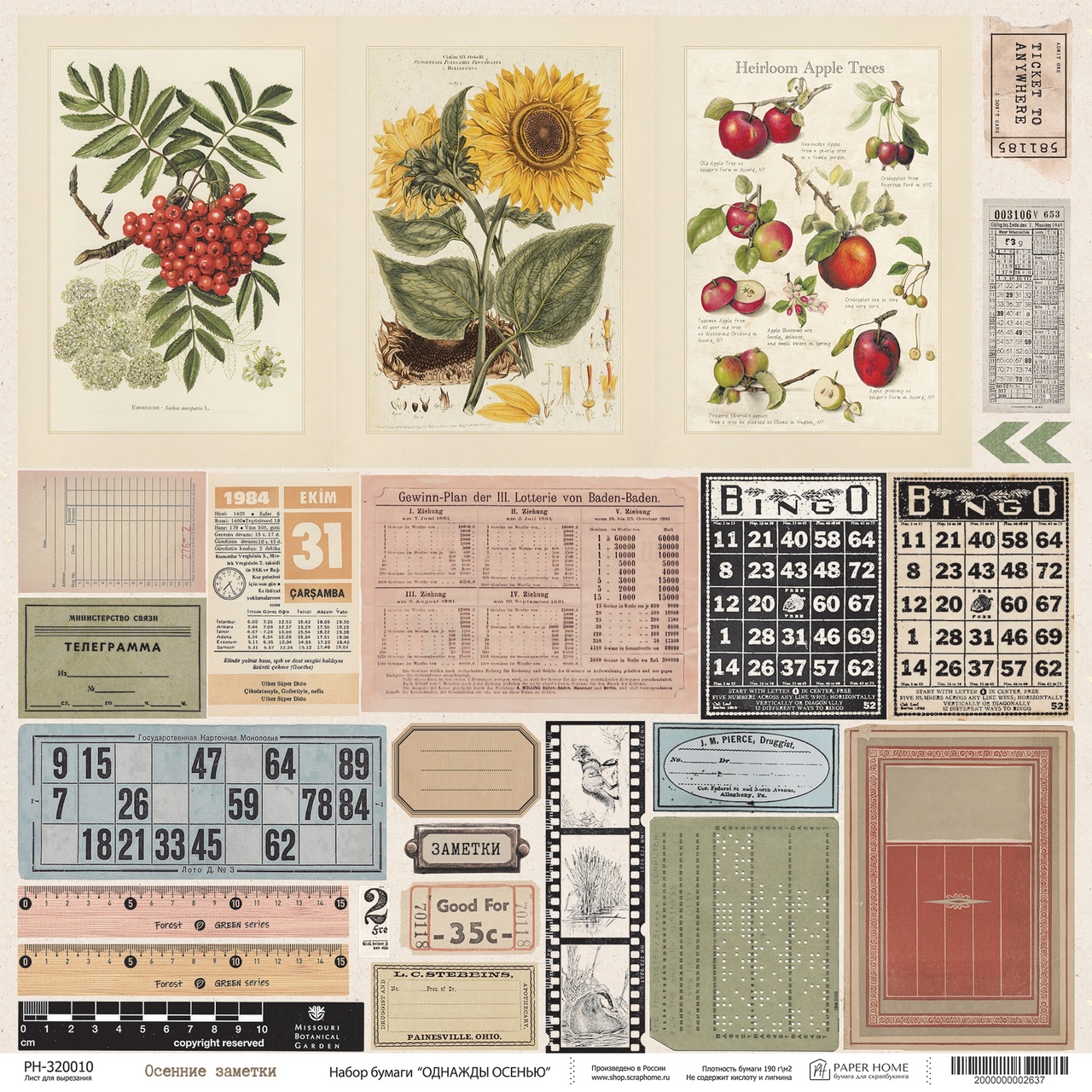 Бумага Paper Home "Однажды осенью" Осенние заметки (PH21-10)