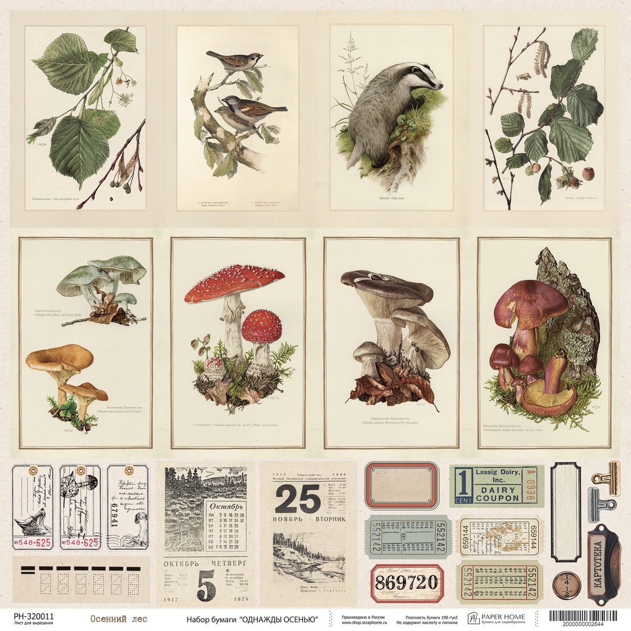 Бумага Paper Home "Однажды осенью" Осенний лес (PH21-11)