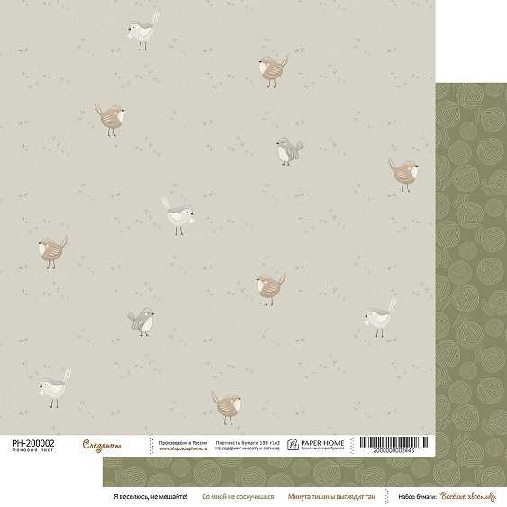 Бумага Paper Home 20х20см "Весёлые хвостики" Следопыт (PH24-02)