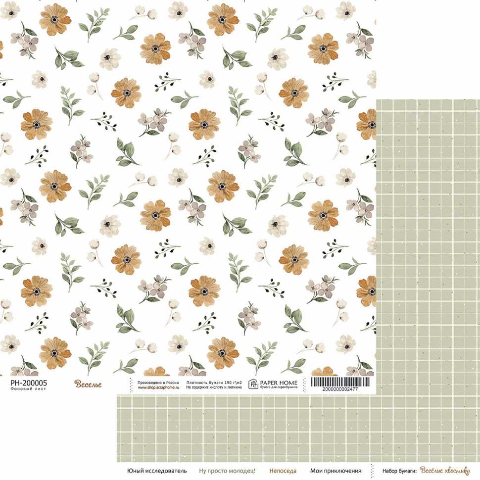 Бумага Paper Home 20х20см "Весёлые хвостики" Веселье (PH24-05)