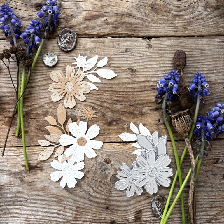 Ножи для вырубки mimi cut "Космеи скромные цветы"