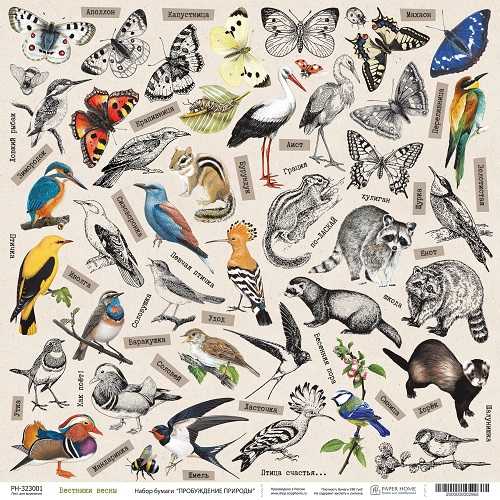 Бумага Paper Home "Пробуждение природы" Вестники весны (PH26-01)