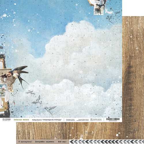 Бумага Paper Home "Пробуждение природы" Небесные жители (PH26-08)