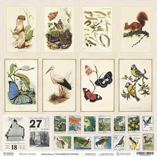 Бумага Paper Home "Пробуждение природы" Тёплое начало (PH26-10)