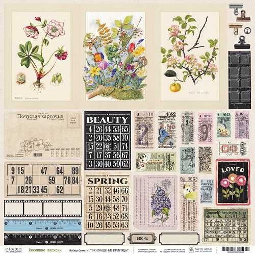 Бумага Paper Home "Пробуждение природы" Весенние записки (PH26-11)