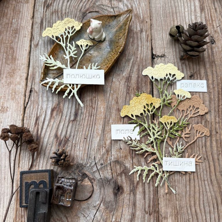 В ПУТИ до 20.03 Ножи для вырубки Мимикат "Пижма"