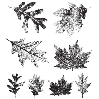 Набор резиновых штампов Tim Holtz "Falling Leaves"