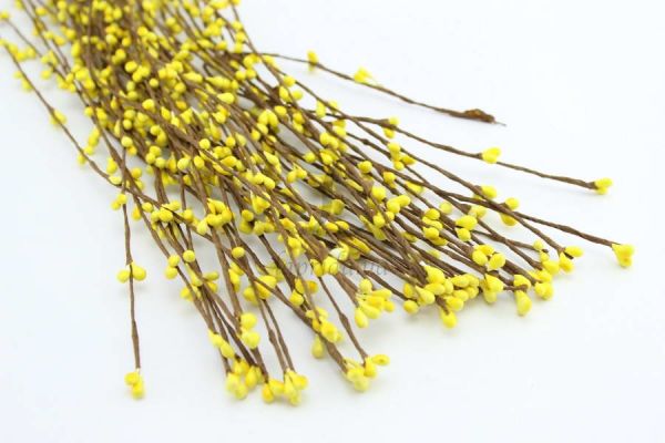 Веточки с почками длинные, цвет жёлтый