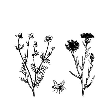 Штамп Stylish Stamps "Полевые цветы"