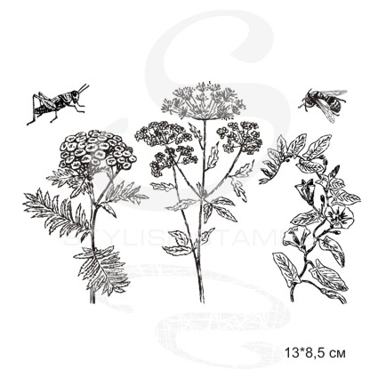 Штамп Stylish Stamps "Пижма"