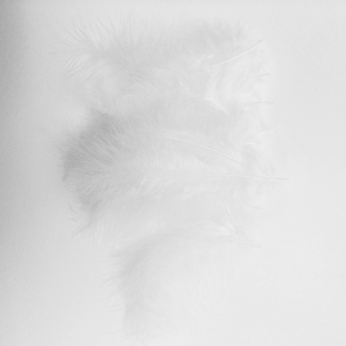 Набор перьев декоративных Mr. Painter, цвет белый