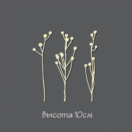 Чипборд "Набор из трёх сухоцветов"