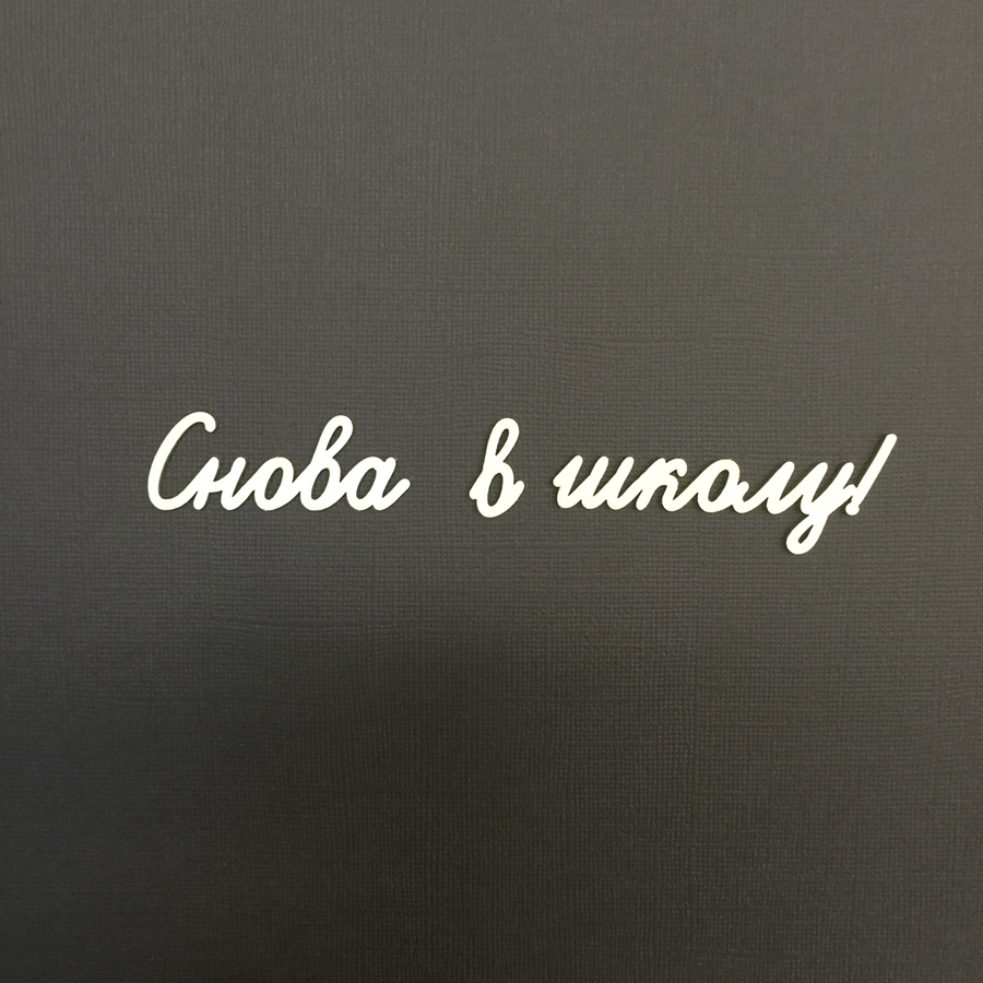 Чипборд "Надписи Снова в школу"