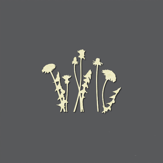 Чипборд "Одуванчики маленькие"